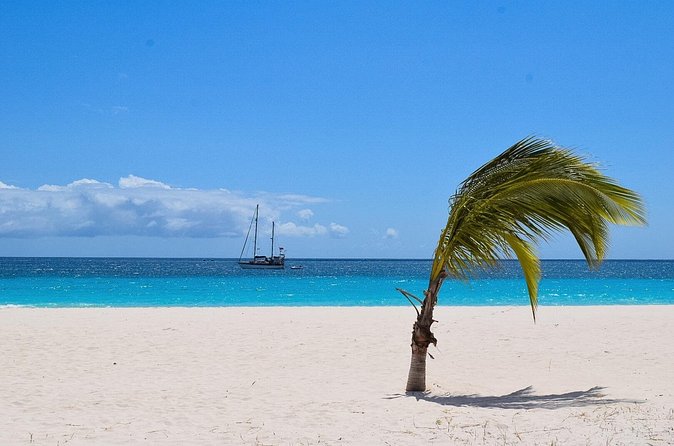 Barbados Shore Excursion: Bajan Highlights - The Garrison closes the loop
