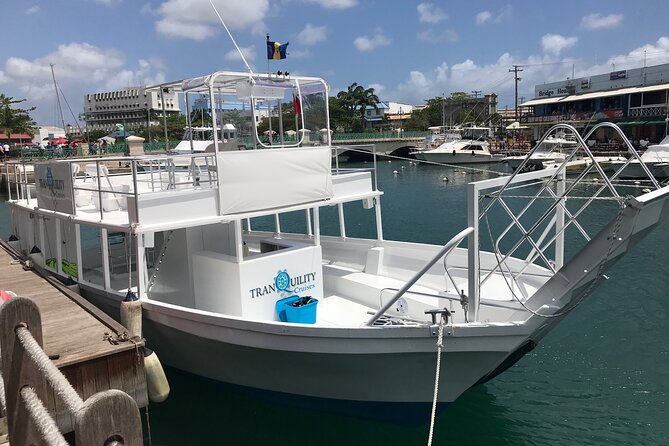 Barbados Shore Excursion: Barbados Surf & Turf - Timing and cruise-ship safety