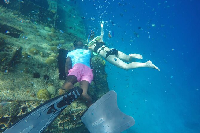 Barbados Shore Excursion: Carlisle Bay Turtle & Shipwreck - Is $48 a Fair Price?