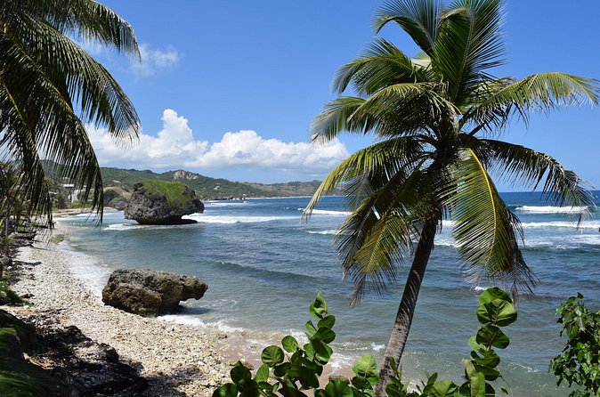 Barbados Shore Excursion Island Tour and Snorkel Cruise - The Garrison Savannah and Bridgetown connections
