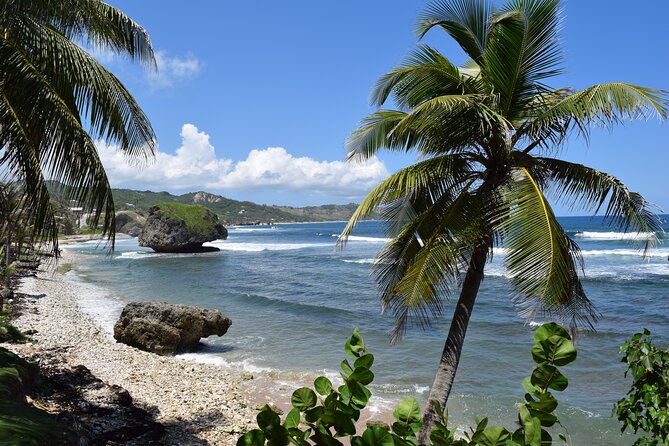 Barbados Shore Excursion Island Tour and Snorkel Cruise - Boarding the Tranquility