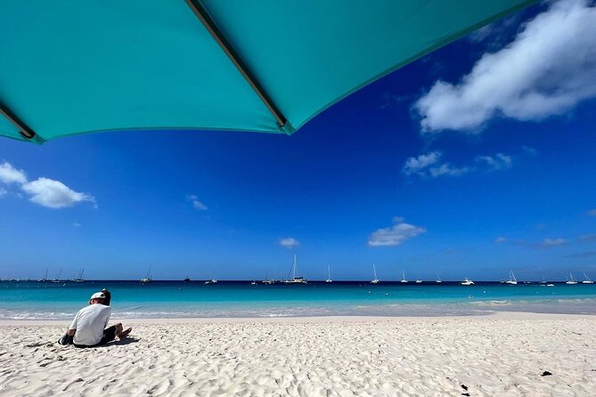 Barbados Shore Excursion: Wildlife Encounter and Beach Day - How the optional snorkeling upgrade changes the day
