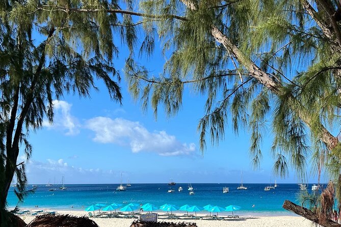 Barbados Shore Excursion: Wildlife Encounter and Beach Day - Accessibility, group size, and practical comfort