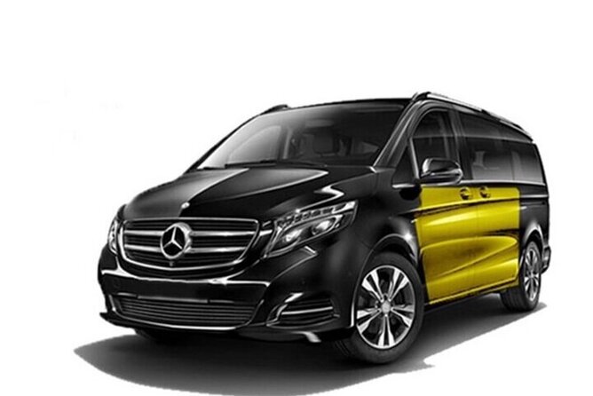 Barcelona Airport to Barcelona Cruise Port private tranfer - Who should book this transfer?