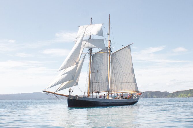 Bay of Islands Glow Worm Caves & Scenic Shore Excursion - The guide can shape the whole day