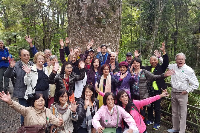 Bay of Islands Shore Excursion: Puketi Rainforest Guided Walk - Is the $157.01 price good value?