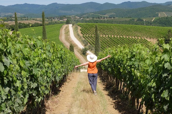 Bella Toscana Private Tour: 2 Chianti Wineries and San Gimignano From Livorno - How the price compares with the experience