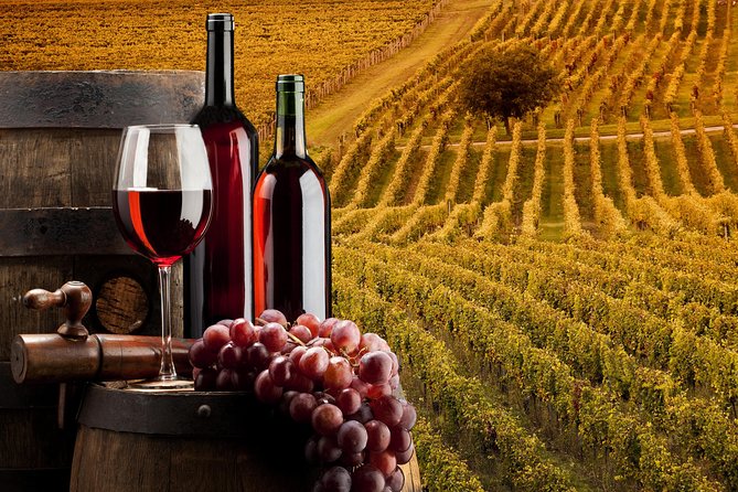 Bella Toscana Private Tour: 2 Chianti Wineries and San Gimignano From Livorno - Should you book the Bella Toscana private tour?