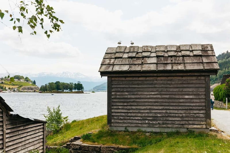 Bergen: Waterfalls of Hardangerfjord Shore Excursion - What the $101 price buys you
