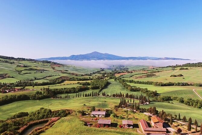 Best Florence and Pisa Tour for Cruise Visitors from Livorno - Why this Livorno shore excursion works