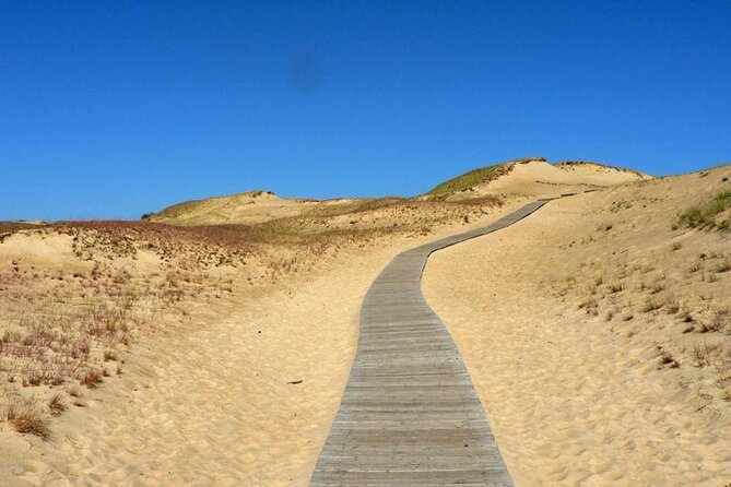 Best of Klaipeda & Curonian Spit Join-in Shore Excursion - Key points to know before booking