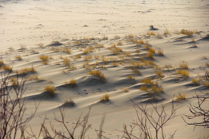 Best of Klaipeda & Curonian Spit Join-in Shore Excursion - Why the Curonian Spit is worth your port time