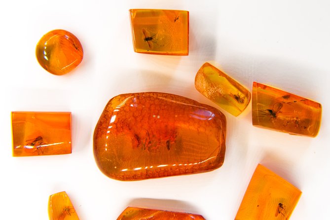 Best of Klaipeda & Curonian Spit Join-in Shore Excursion - Amber culture at the Mizgiriai Gallery
