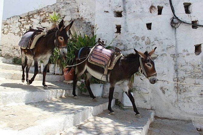 Best Rhodes Tour with Wine Tasting Experience from Cruise Port - Kalathos pottery and local island produce