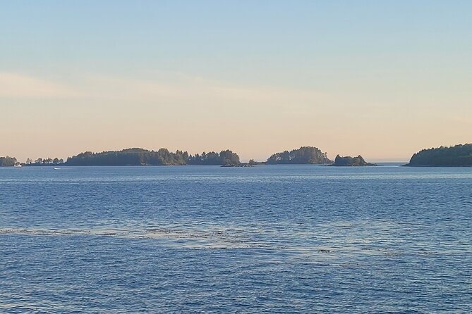Best Whale Watching and Wildlife Shore Excursion in Sitka - Who will enjoy this tour most?