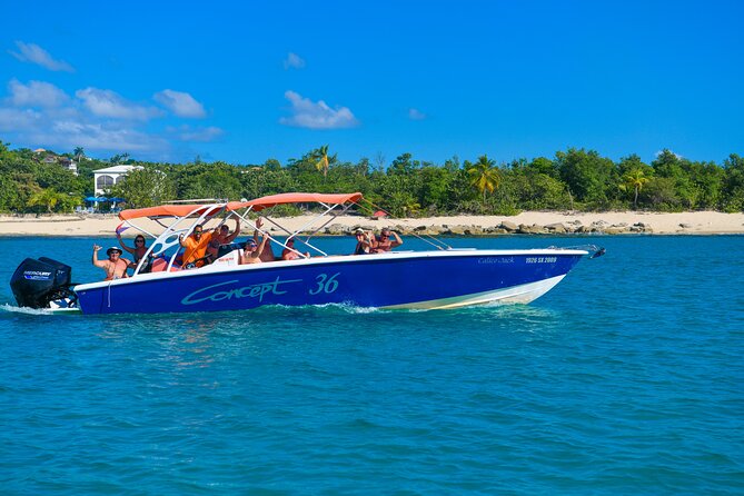 Billy Bones St.Maarten Getaway for CRUISE SHIP GUESTS - Pinel Island, beach time, and friendly iguanas