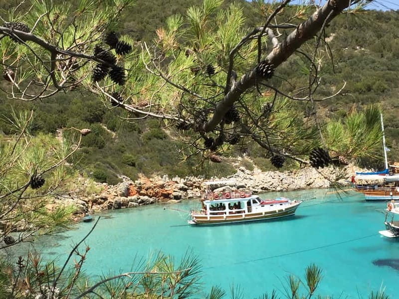 Bodrum: Boat Tour for Mein Schiff and Aida Cruise Passengers - Should You Book the Bodrum Boat Tour?