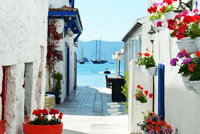 Bodrum Shore Excursion: Private Bodrum Express Sightseeing Tour - Should you book it?