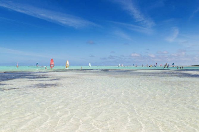 Bonaire Shore Excursion: The Bonaire Highlights Tour - Goto Lake and Bonaire’s pink flamingos