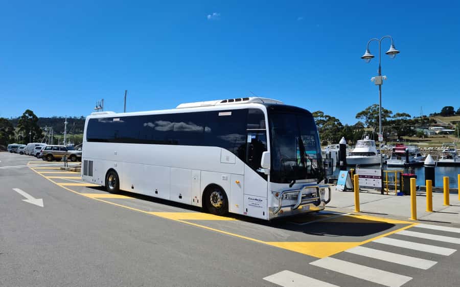 Bonorong & Richmond: Shore Excursion (Private Tour) - The drive from Hobart to the sanctuary