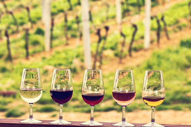 Bordeaux Cruise Port Shore Excursion: Full-Day Private Medoc Wine Tour - Why Médoc works so well as a one-day port visit