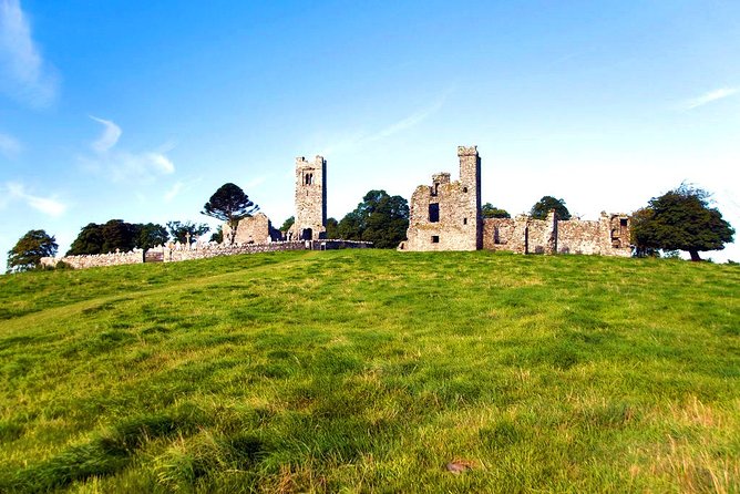 Boyne Valley, Meath - Private Shore Excursion - The driver-guide makes or breaks the day