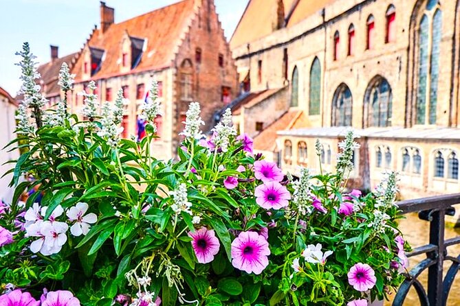 Bruges Delights - Best Tour Designed for Cruise Passengers - From Zeebrugge port to Bruges in 30 minutes