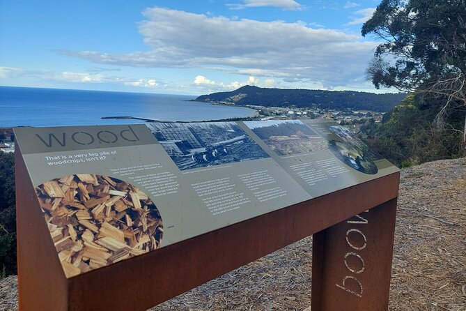 Burnie Attractions Bus: Burnie Shore Excursion - Why this Burnie tour works for cruise passengers