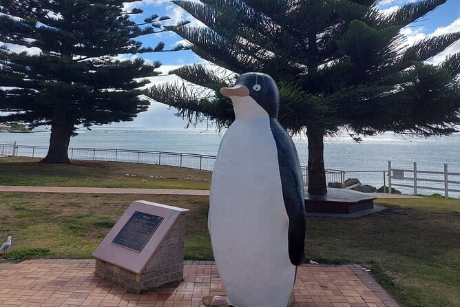 Burnie Attractions Bus: Burnie Shore Excursion - Fernglade Reserve and Tasmania’s quieter side