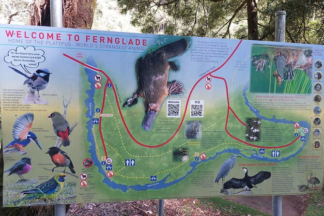Burnie Attractions Bus: Burnie Shore Excursion - Guide Falls and the importance of the season