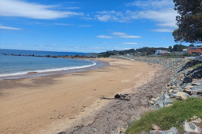 Burnie Attractions Bus: Burnie Shore Excursion - Burnie Regional Museum and a useful finish