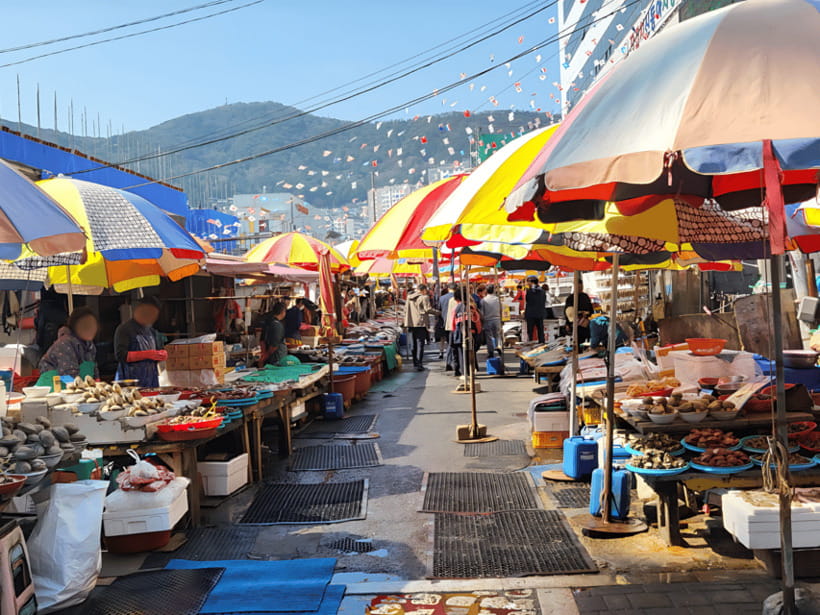 Busan: City Tour Shore Excursion for Cruise Guests - Why this Busan shore excursion works for cruise days