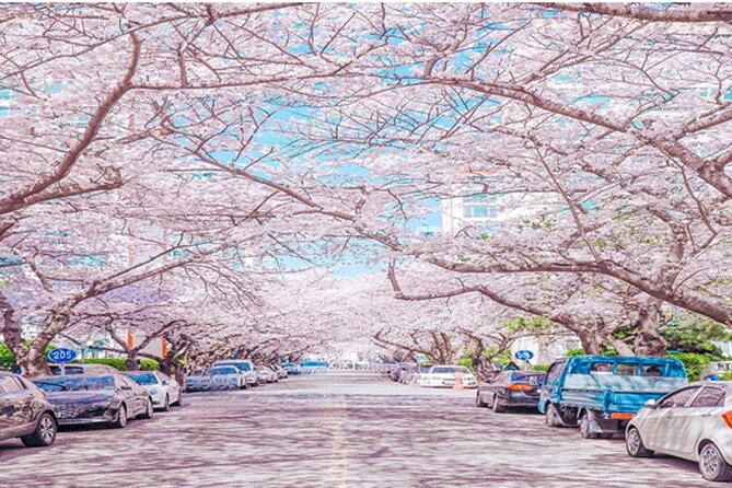 Busan Cruise Port – Premium Small Group Tour (Max 6 Guests) - Gamcheon Culture Village on the hills