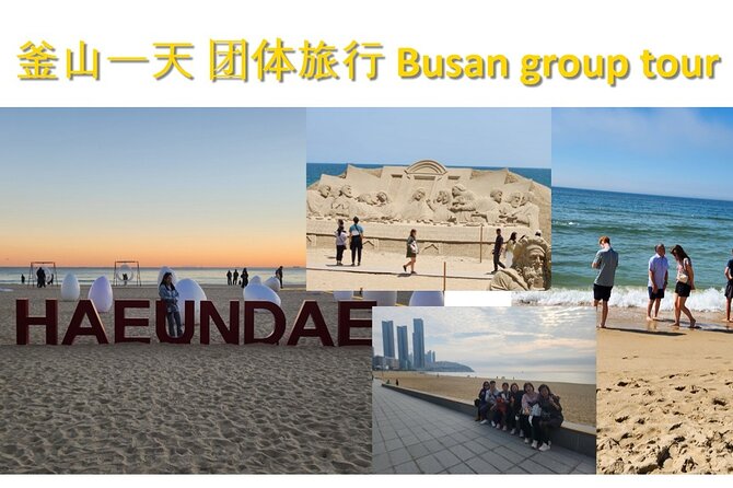 Busan Group Tour for Cruise ship passengers (Max 12 Guests) - BIFF Square, Gukje Market, and Jagalchi Market