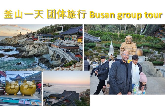 Busan Group Tour for Cruise ship passengers (Max 12 Guests) - Haedong Yonggungsa Temple and the sea