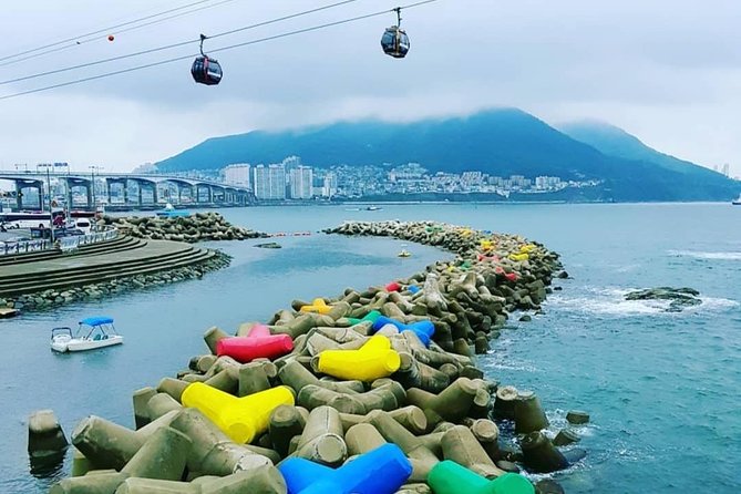 Busan Highlights Shore Tour – Cruise Return Assured - Why this tour works for a one-day Busan stop