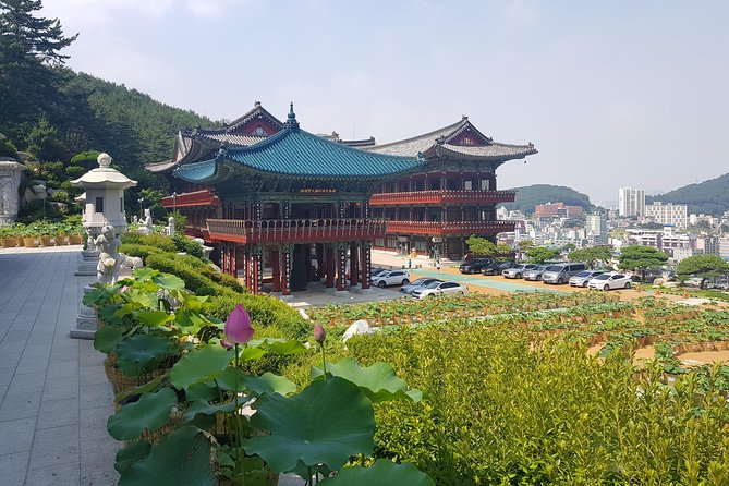 Busan Highlights Shore Tour – Cruise Return Assured - Korean lunch adds real value to the day