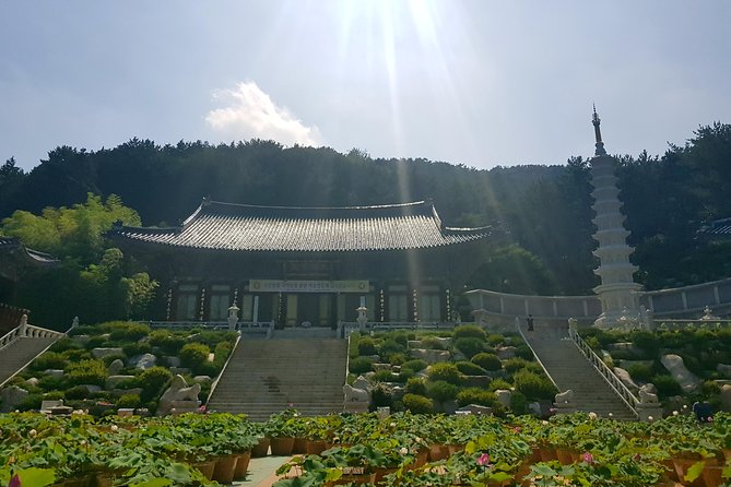 Busan Highlights Shore Tour – Cruise Return Assured - Hwangnyeongsan gives Busan its big view