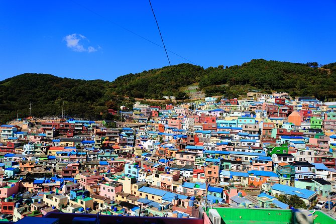 Busan Highlights Shore Tour – Cruise Return Assured - Gamcheon Culture Village rewards slow walking