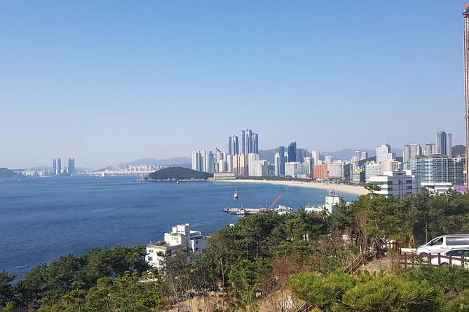 Busan Shore Excursion; Private City Tour - Why this Busan day works