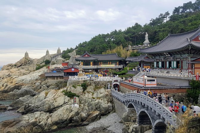 Busan Shore Excursion; Private City Tour - Starting with the fish at Jagalchi Market