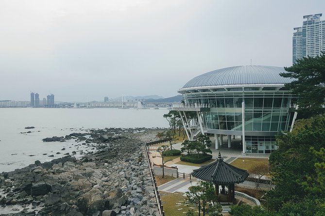 Busan Shore Excursion; Private City Tour - BIFF Square and Busan’s film connection