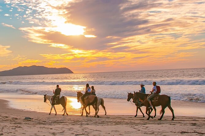Cabo Shore Excursion: Beach Horseback Ride & Tequila Tasting - From Cabo’s port to the Migrino trailhead