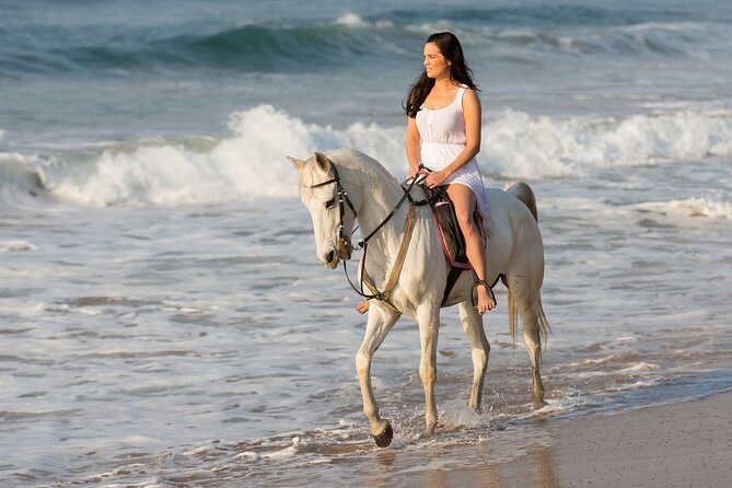 Cabo Shore Excursion: Beach Horseback Ride & Tequila Tasting - What Los Cabos and El Arco add to the outing