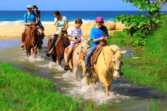 Cabo Shore Excursion: Beach Horseback Ride & Tequila Tasting - Photos, upgrades, and the cost of saying yes