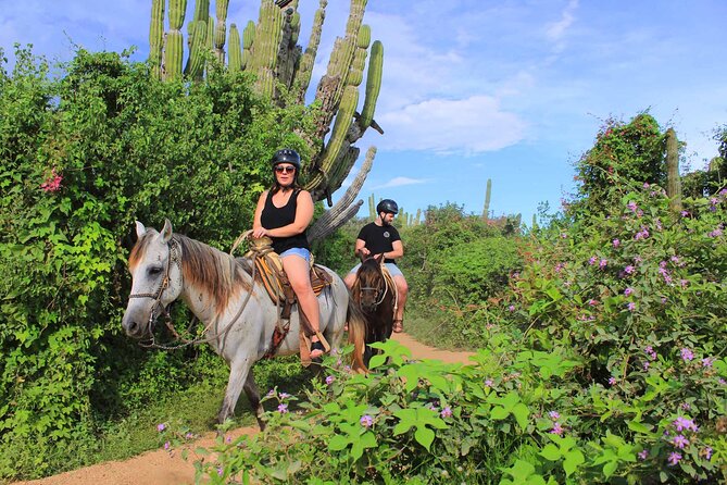 Cabo Shore Excursion: Beach Horseback Ride & Tequila Tasting - Who will enjoy this Cabo excursion most