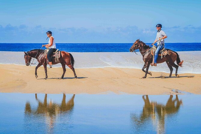 Cabo Shore Excursion: Beach Horseback Ride & Tequila Tasting - Crossing the desert to Playa Migrino