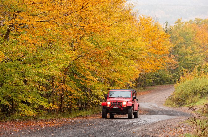 Cabot Trail Jeep Adventure - Cruise Excursion - How the guides shape the day