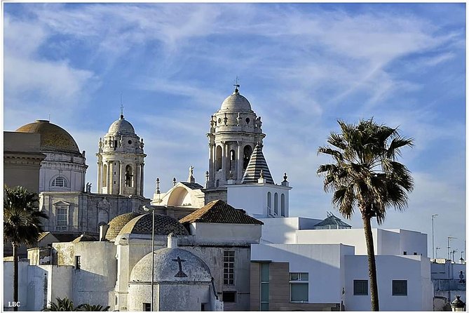 Cadiz Shore Excursion: Scenic & walking tour with cheese and sherry tasting - What the guides can change