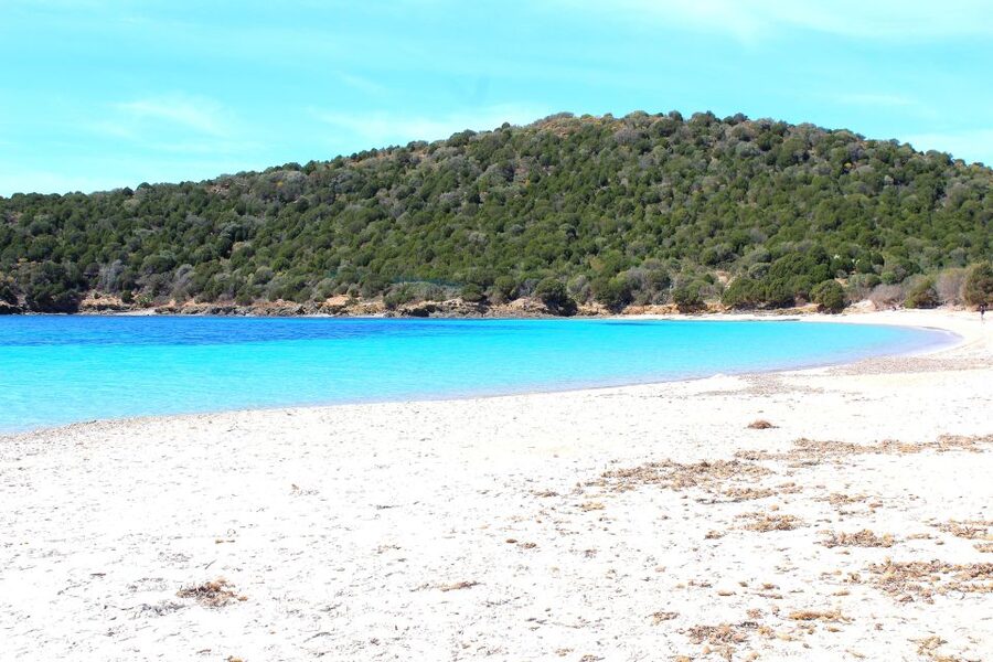 Cagliari Shore Excursion: Amazing Hidden Beaches Jeep Tour - Cala Cipolla: the main snorkeling stop